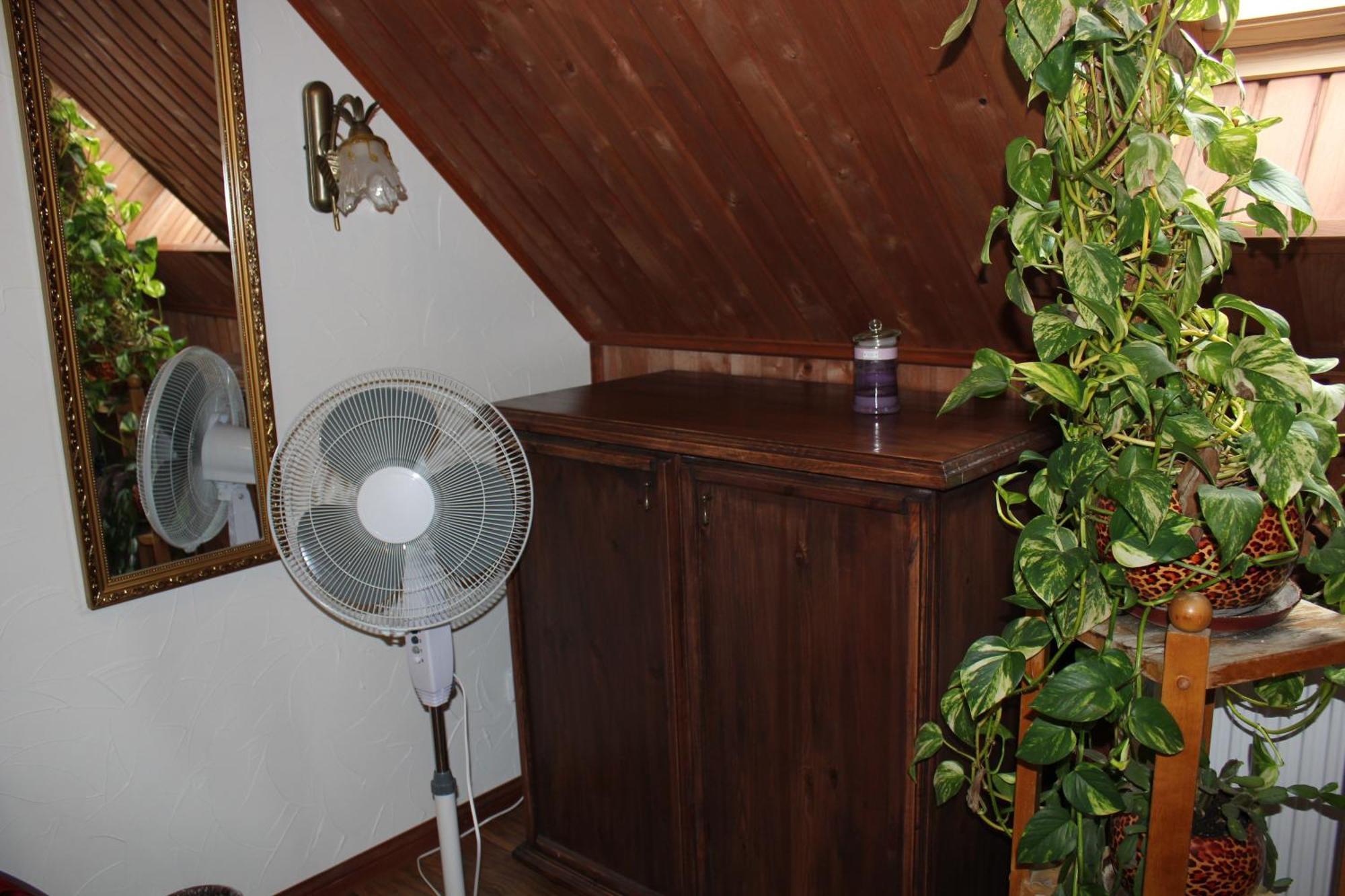 Krapi Guesthouse Treimani 客房 照片
